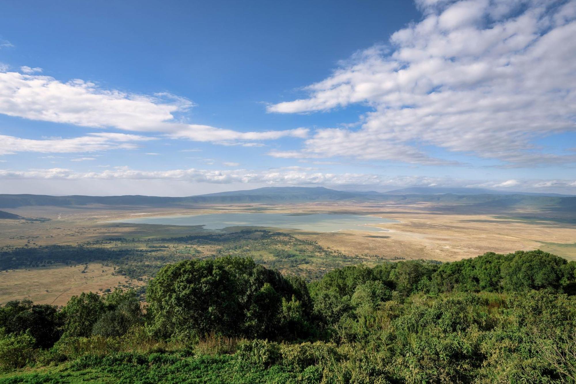 Member Of Melia Collection - The Leading Of The World Lodge Ngorongoro